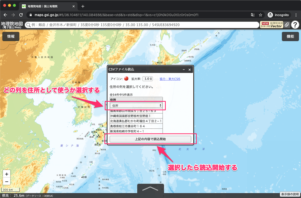 地理院地図